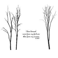 The beautiful tree with the quote