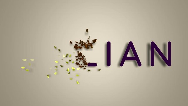 Name is Lillian. The female name on a light background disappears flying in butterflies. Minimal graphics. 4k