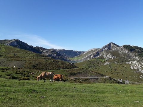 Lagos De Covadonga