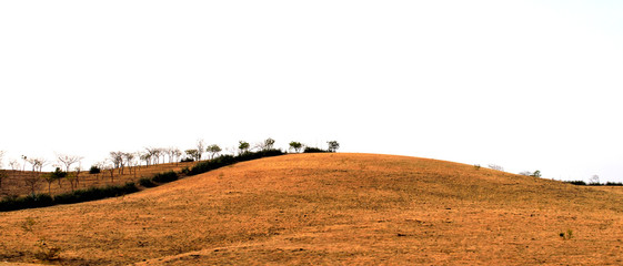 Barren piece of land in India, recovering from severe drought, looking very similar to that of the iconic wallpaper of windows xp