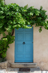A beautiful blue door with a grape vine growing above it in a typical Provence village in South West France