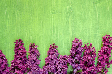 Purple lilac flowers on bright green spring wooden background, copy space