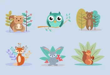 Fotobehang Animals badger, squirrel, owl, bear, fox and hare. Colorful vector illustration © Tetiana