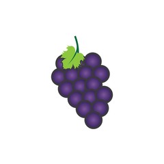 Grapes illustration vector icon template