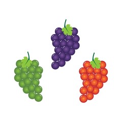 Grapes illustration vector icon template