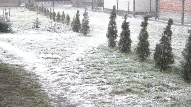 snow falls in the yard