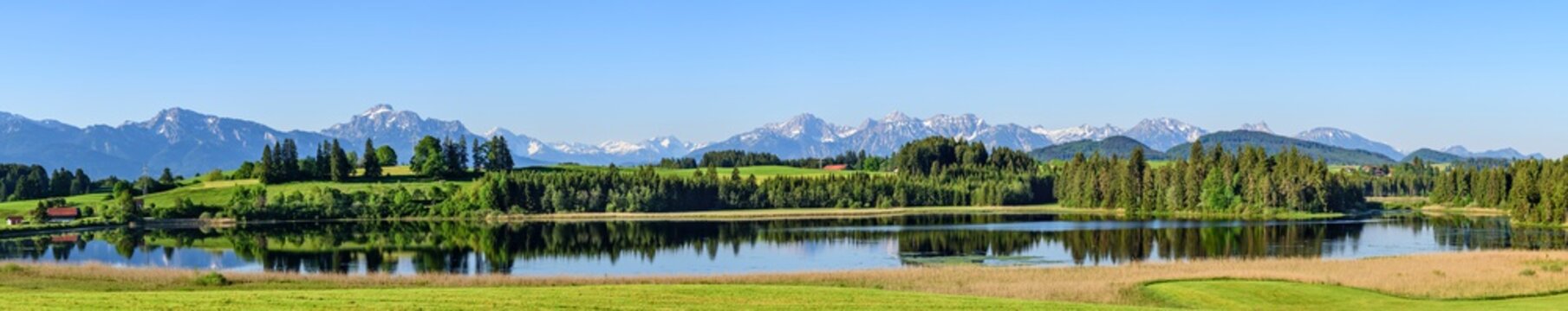 Herrliche Natur am Sameisterweiher im Fr&uuml;hling