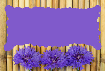 Bamboo with cornflowers