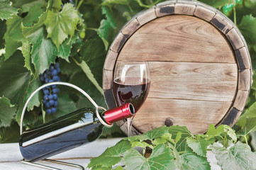 Vinnaya theme.