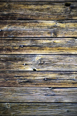 Fototapeta premium Wood texture