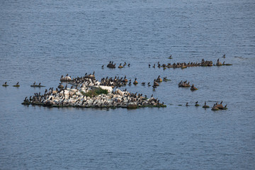 Bird Islands. Sweden sea coast landscape. Stylized photos with added noise