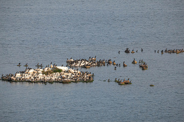 Bird Islands. Sweden sea coast landscape. Stylized photos with added noise