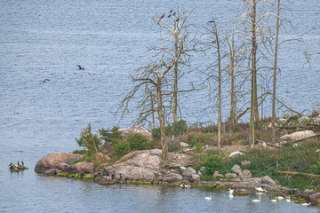 Bird Islands. Sweden sea coast landscape. Stylized photos with added noise