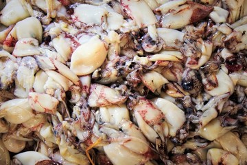 Stall with squids at fish market in Athens, Greece.