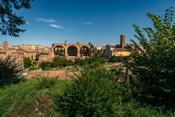 Fototapeta na wymiar Panoramic view of the ancient ruins of Forum Romanum from the hill of Palatino at a summer day near Collosseum in the city of Rome, Italy