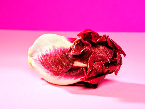 Fresh Radicchio on Pink Background