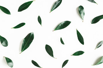 Green tropical leaves on white background. Flat lay, top view