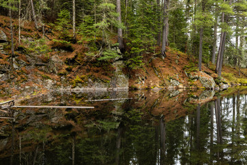 The wilderness of Algonquin in Canada
