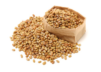 White adzuki bean isolated on white background