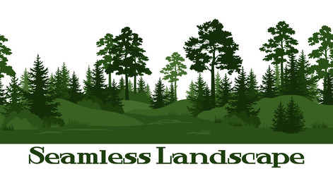Seamless Horizontal Summer Forest with Pine, Fir Tree, Grass and Bush Green Silhouettes on White Background. Vector