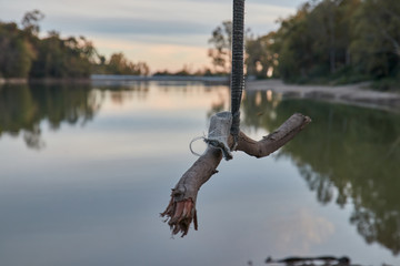 Rope swing in a lake at the sunset with bur background with sky reflection. The concept of healthy...