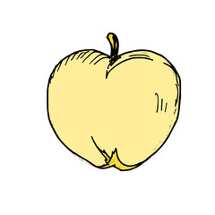Apple hand drawn