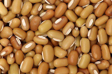 White adzuki bean textures background