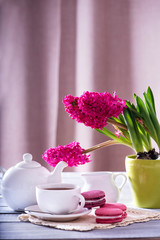 Pink macaroon with pink  hyacinth on the wooden background