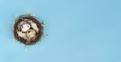Happy Easter.Small Easter eggs in a nest on a blue background for a banner, store sales, discounts.Zero Waste.Minimalism.Spring.Holiday greeting card.Mock up.Copy space.Top view