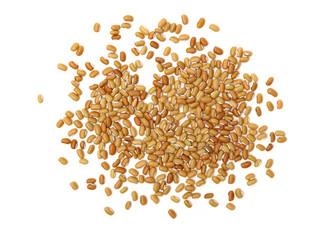 White adzuki bean isolated on white background