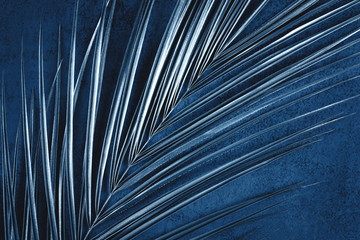 Closeup of metallic painted palm leaf on abstract dark blue textured background. Tropical...