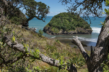 Fototapeta na wymiar Bethells beach Auckland New Zealand Coast and beach. Forest te Henga