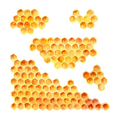 Watercolor honeycomb isolated on white background