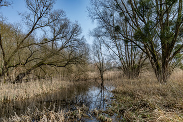 Marais du Grand Saulcy