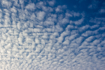 Fototapeta na wymiar View of white Altocumulus cloud against a blue sky