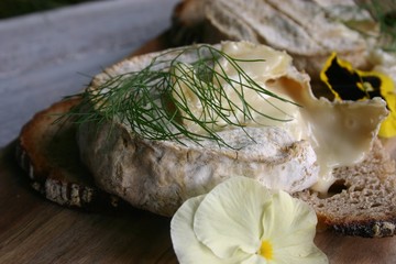 camembert ser kozi