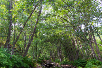 Riverbank views from the riverbed