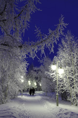 Obraz premium An elderly couple and trees in the frost in the evening in the city Park in winter
