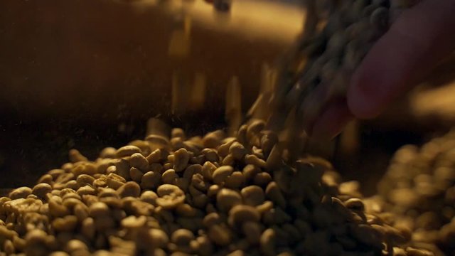 Men's hands draw green coffee beans from a bag., close up shot