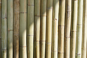 Light and shadow on Bamboo Wood pattern for Background.
