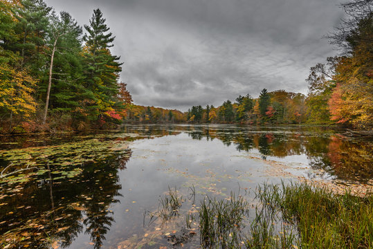 Heron Pond