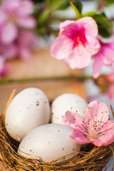 Quail eggs in a diy nest. Easter card in trendy color. Happy Easter concept with eggs and flowering branch. Spring, easter, eggs close-up and copy space.