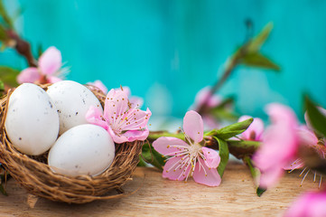Obraz na płótnie Canvas Quail eggs in a diy nest. Easter card in trendy color. Happy Easter concept with eggs and flowering branch. Spring, easter, eggs close-up and copy space.