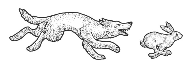 Wild wolf chasing hare sketch engraving vector illustration. T-shirt apparel print design. Scratch board imitation. Black and white hand drawn image.