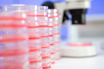 Microscope and petri dish with biological sample on clinical workbench