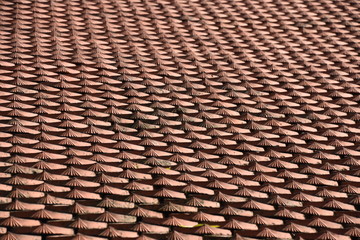 Dragon Scale Tile Roof Background Texture