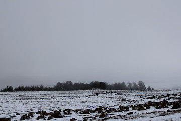 Naklejka premium snow landscape