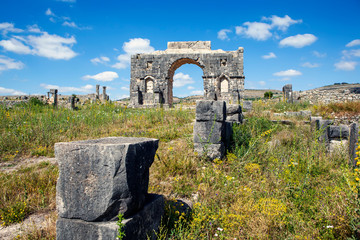 Arch of Caracalla. Volubilis. Morocco