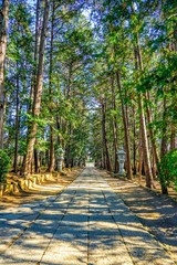喜多見の慶元寺、石畳と杉並木の道