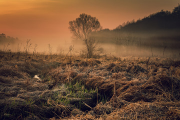 Obraz premium Sunrise on river